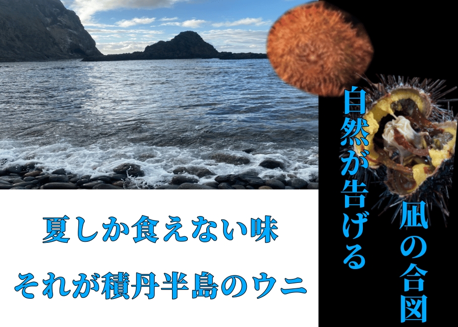 67c13f0ef19c23002da9200b
