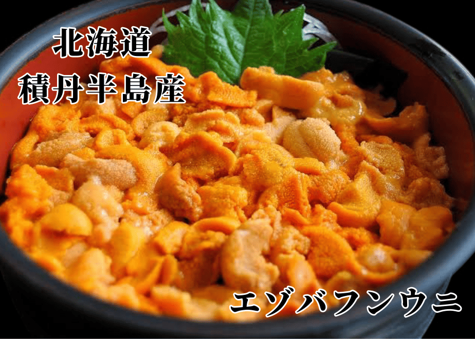 67c13e62f56a72002a7a7d61