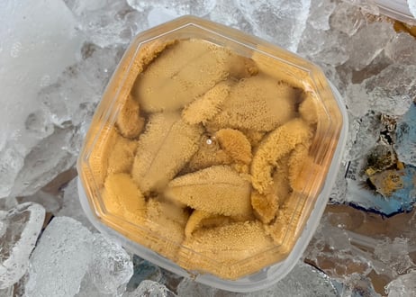 北海道　積丹半島産　塩水ウニ（ムラサキウニ・白ウニ）100g