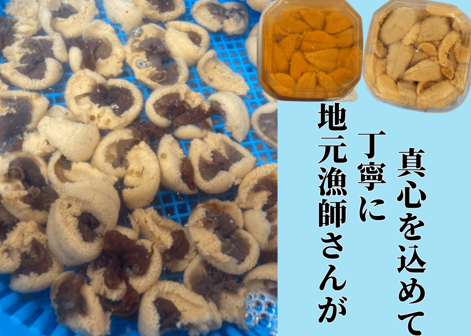 67c13f0ef19c23002da9200b