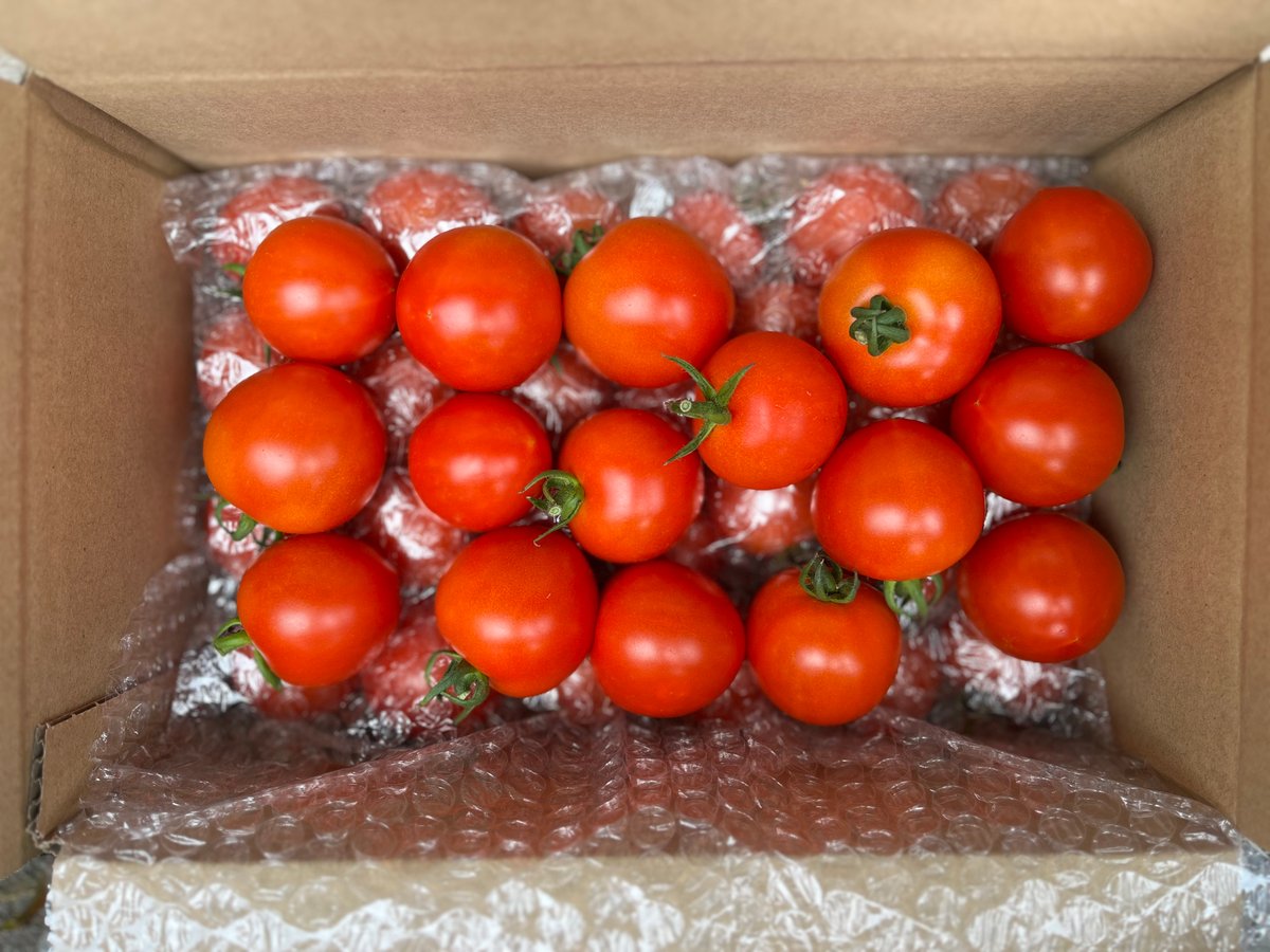 とまとページ Tomatoes For Sale Embroidery Design | EmbroideryDesigns.com