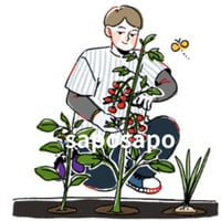 家庭菜園のオリジナルイラスト