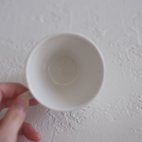 Digoin & Sarreguemines / white cup A,B