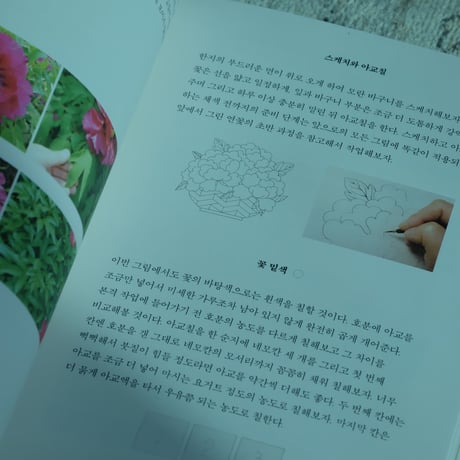 【韓国民画を学ぶ】モダン民画レッスン