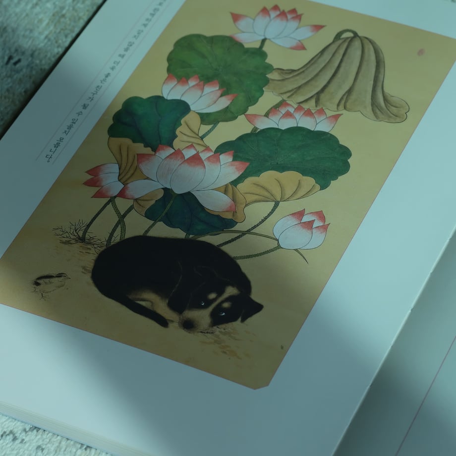 67c50339b456380243fd9f26