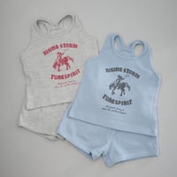 horse set up