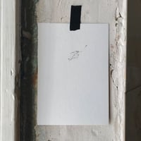 【必読】ご購入前に