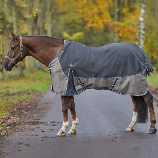 厚手馬着 セットアップ | 乗馬用品マリウスコレクション