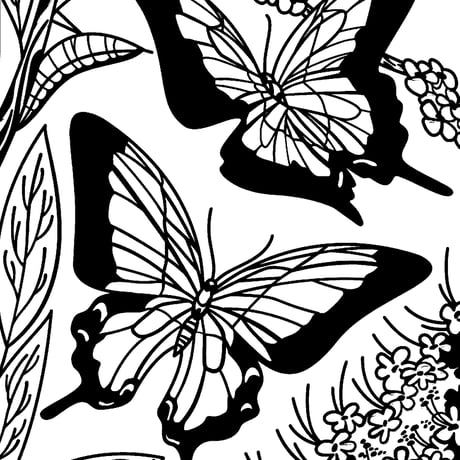 送料無料特別サービス中！集中力と想像力を育む！マジックペインティングブック【Butterflies（ちょうちょ）】（水だけで色づく！マインドフルな魔法の水ぬりえ）
