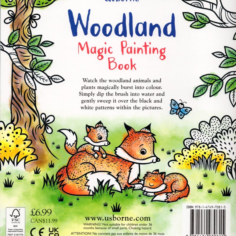 集中力と想像力を育む！マジックペインティングブック【Woodland（森の