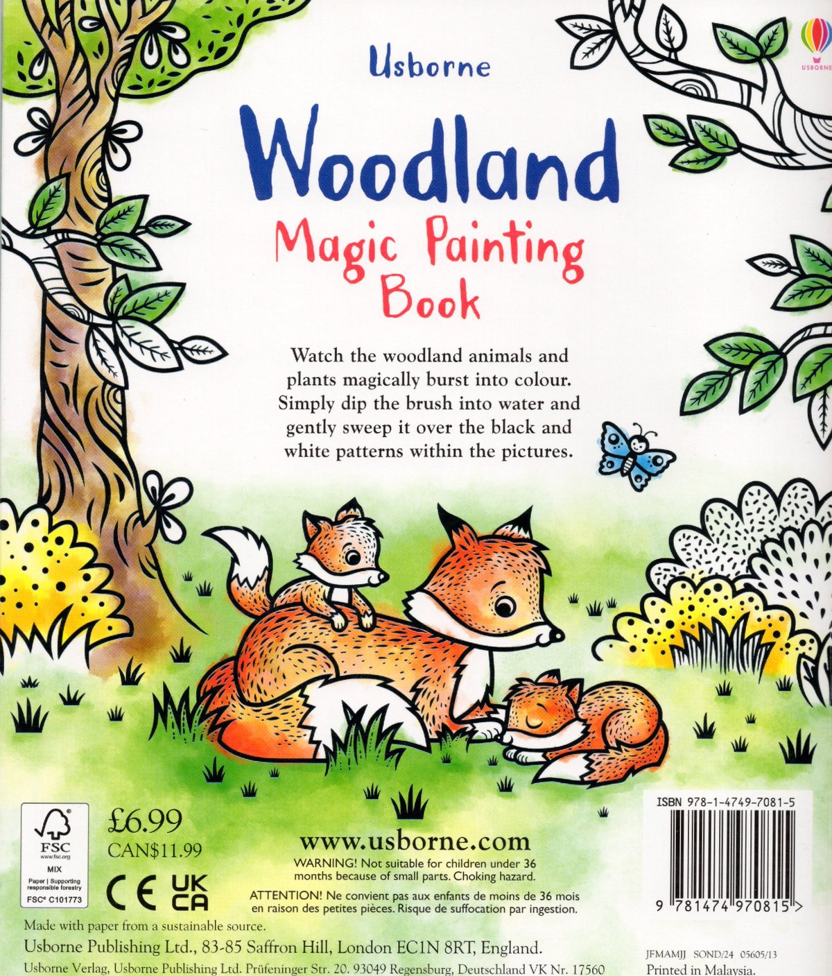 集中力と想像力を育む！マジックペインティングブック【Woodland（森の