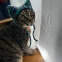 English pattern Cat ＆ Doll size cat ear hat