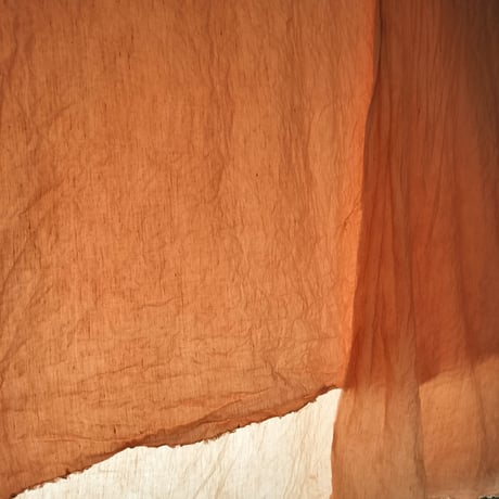 植物染め体験