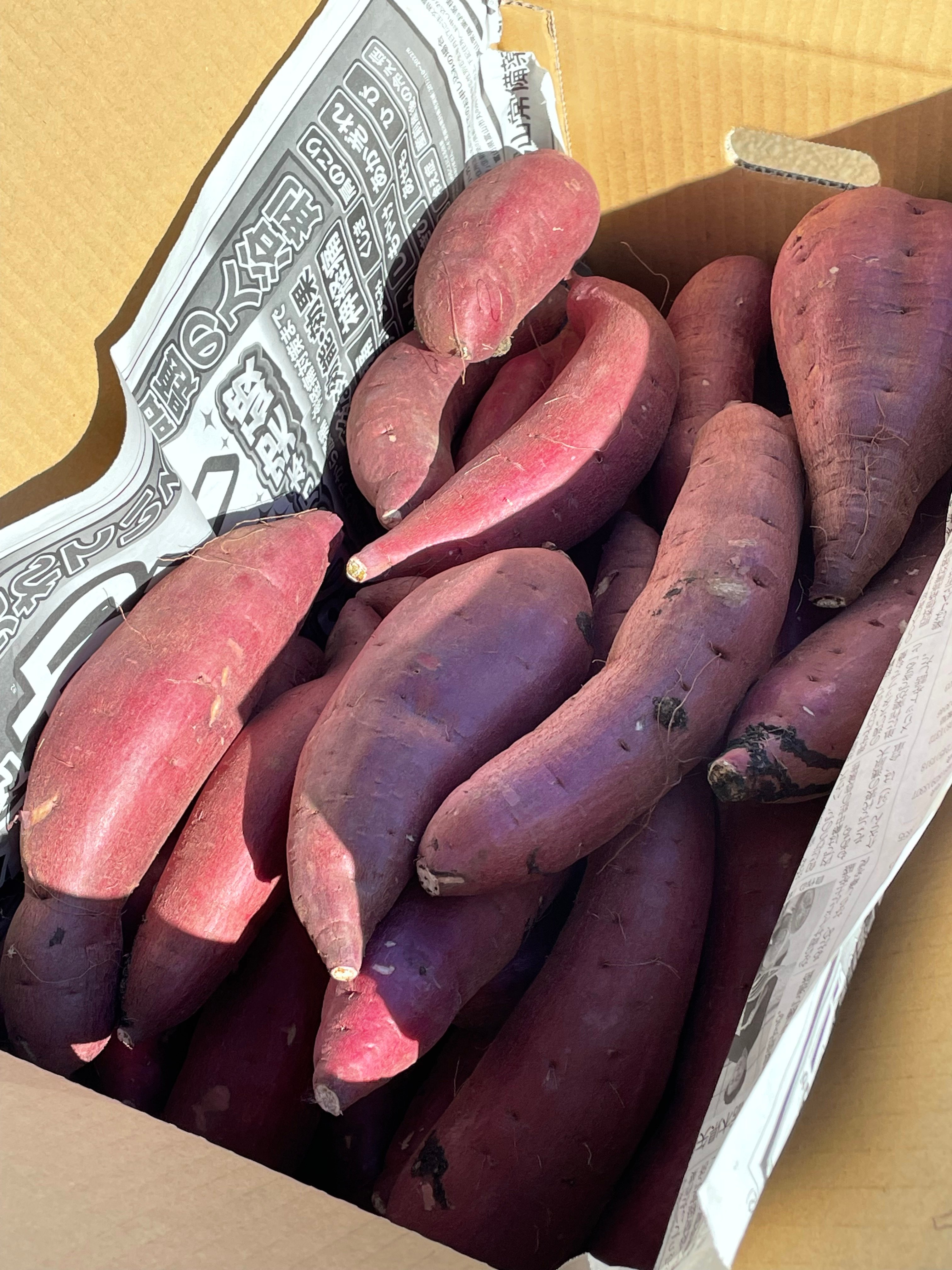 千葉県産紅はるかB品 5㎏箱 | KOUMA FARM