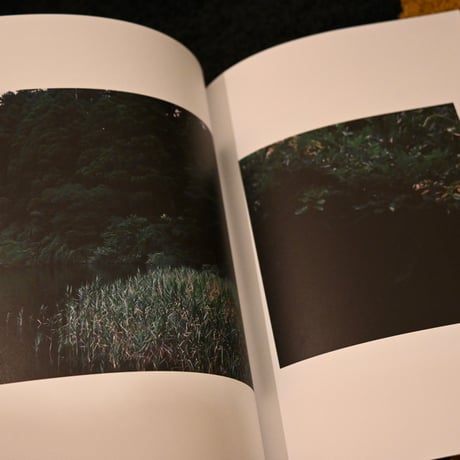 Playing 写真集#1