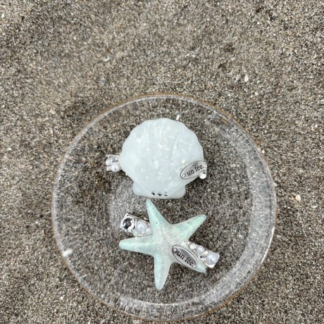 shell & starfish pin
