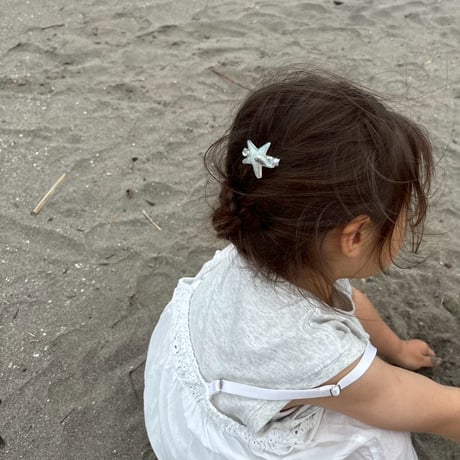 shell & starfish pin