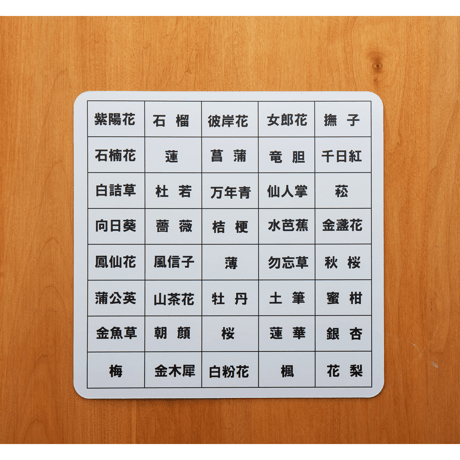【15】 合わせて置くゲーム　お花バージョン