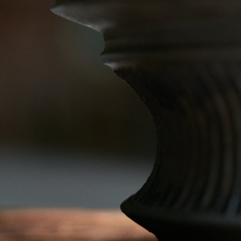 パキポディウムグラキリス × 小野瀬一 | MEGASHEEP