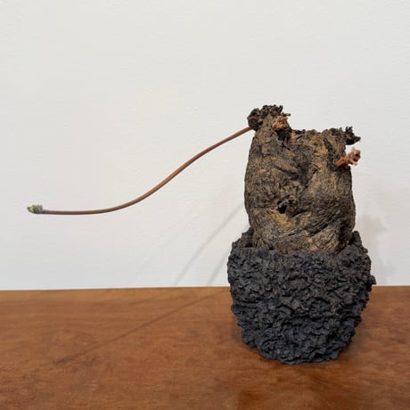 トリステ | STORES