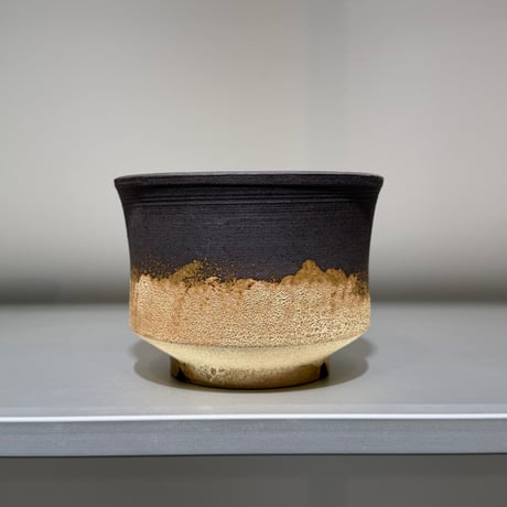 塊根植物 | STORES