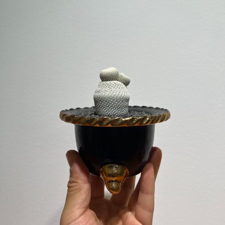 エピテランサ 月世界 小人の帽子セットＡ 鉢のまま発送 エピテランサ | STORES