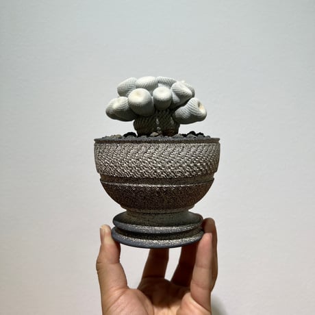 エピテランサ | STORES