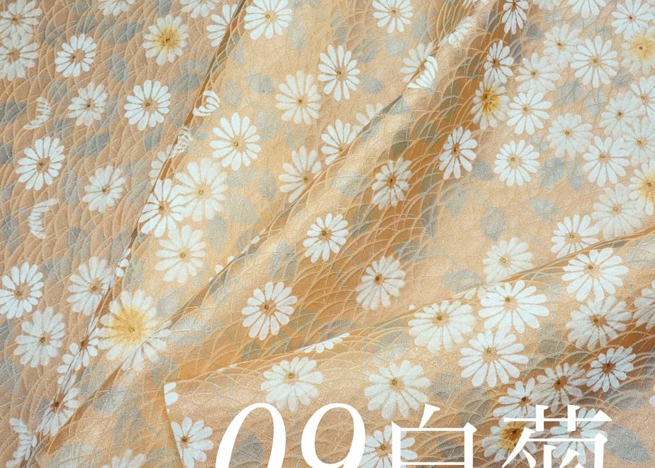66f75ffb8feb782e64bae55d