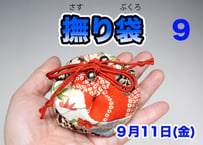 撫り袋 52108