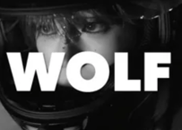 WOLF (K POP) *独占権+パラデータ