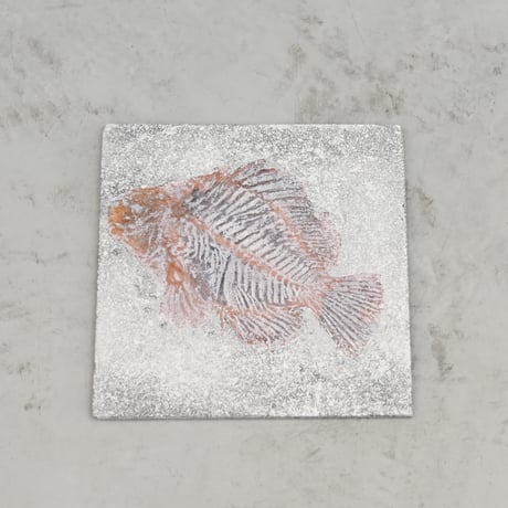 FishタイプA No.2