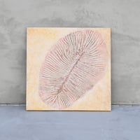 Dickinsonia No.1