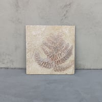 FernタイプB No.1