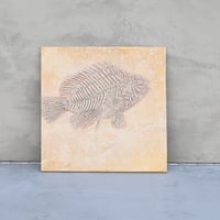 FishタイプA No.1