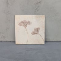 Crinoid No.3