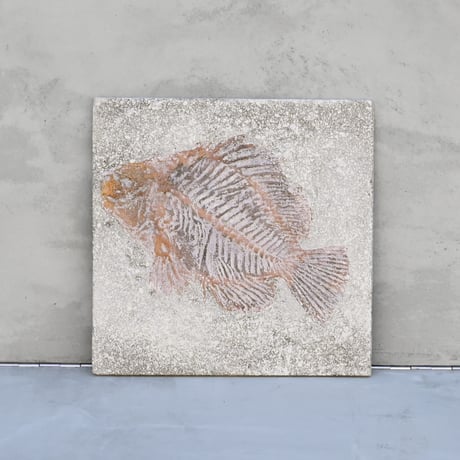 FishタイプA No.2