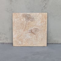 Crinoid No.2
