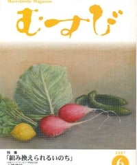 2007年6月号　月刊むすび誌