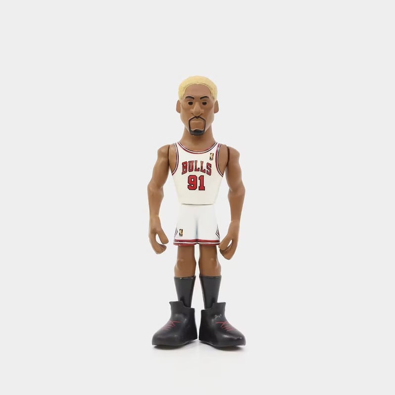DENNIS RODMAN フィギュア Enterbay Dennis Rodman Real Masterpiece Action Figure