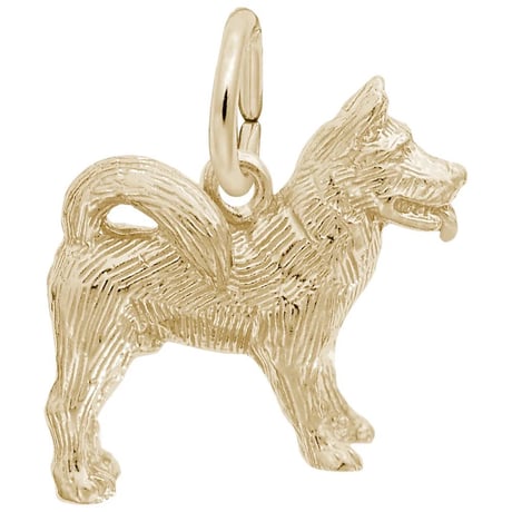 秋田犬 | STORES