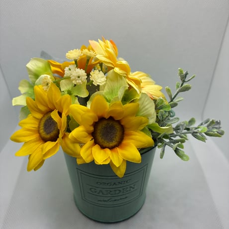 Sunflower✴︎サンフラワー✴︎ SUNFLOWER | サンフラワー SUPER WIDE BLACK STONE (5108-1)