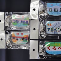大判ヘッドマークキーホルダー（全5種）
