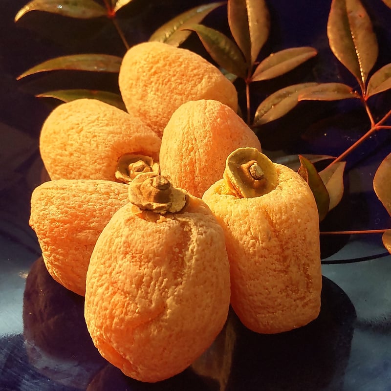 市田柿(大袋、1kg) | にっしー農園 ONLINE SHOP