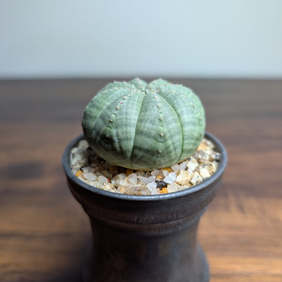 69c8e789f1aad545692e525f