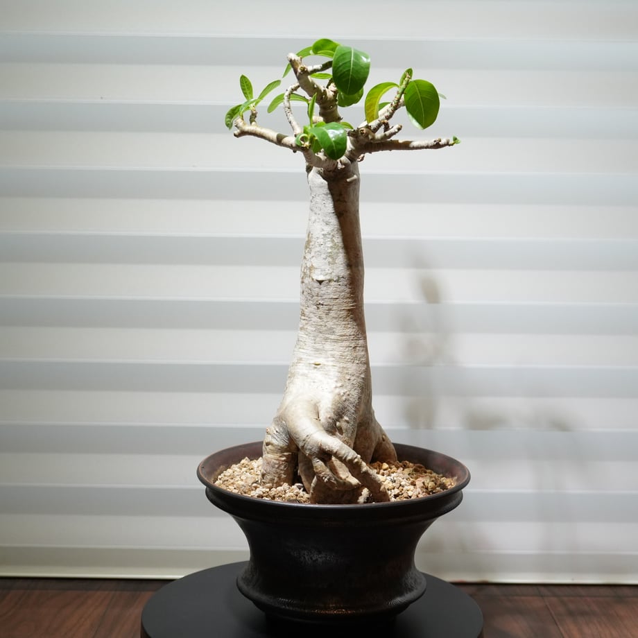 68b95edb97939431923f3423