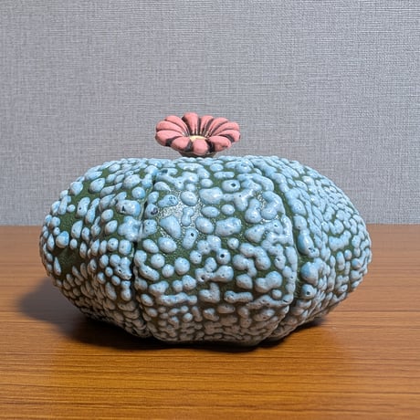 ミラクル兜 | STORES