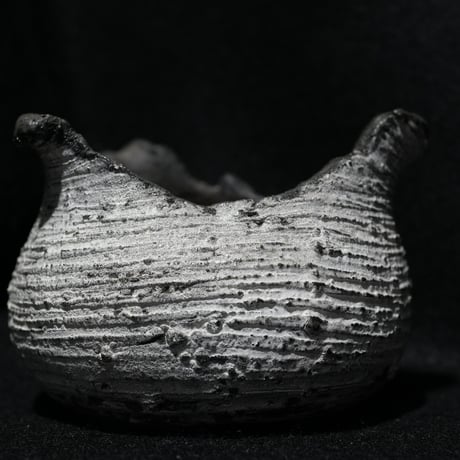 CATEGORY 鉢 | BizarrePlants Ueshin