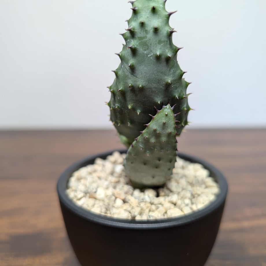 69f0638e0e072918ca05388d