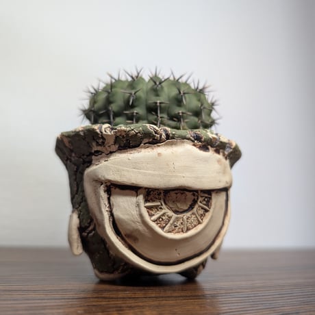 CATEGORY 特選輸入鉢 | BizarrePlants Ueshin