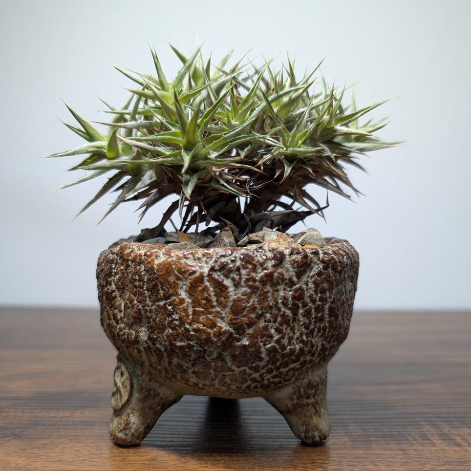 6a01a72456efca16a4ffd7a2